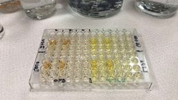 Image of lab samples from study