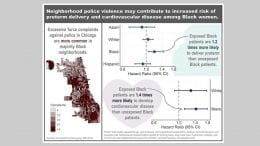 Chicago map with spatial distribution of complaints about excessive use of force; Models showing increased preterm birth and cardiovascular disease risks for Black women.
