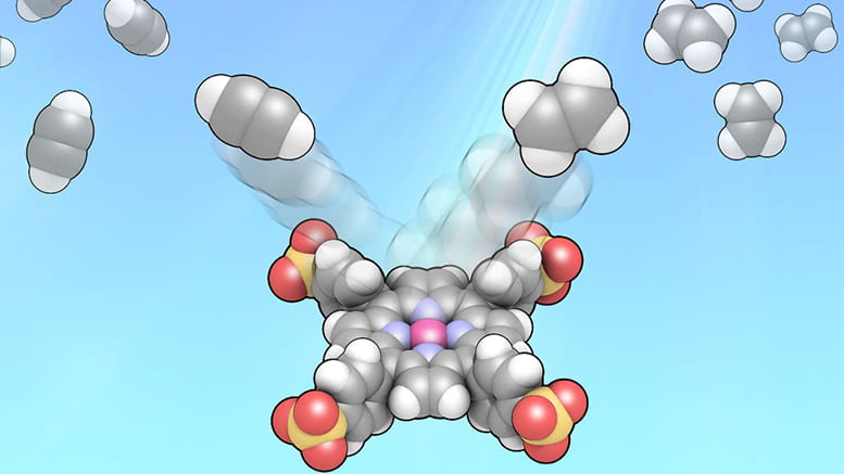 Catalysis driven by light and water produces polymer-grade ethylene.