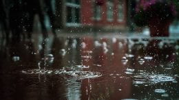 rain falling in a puddle
