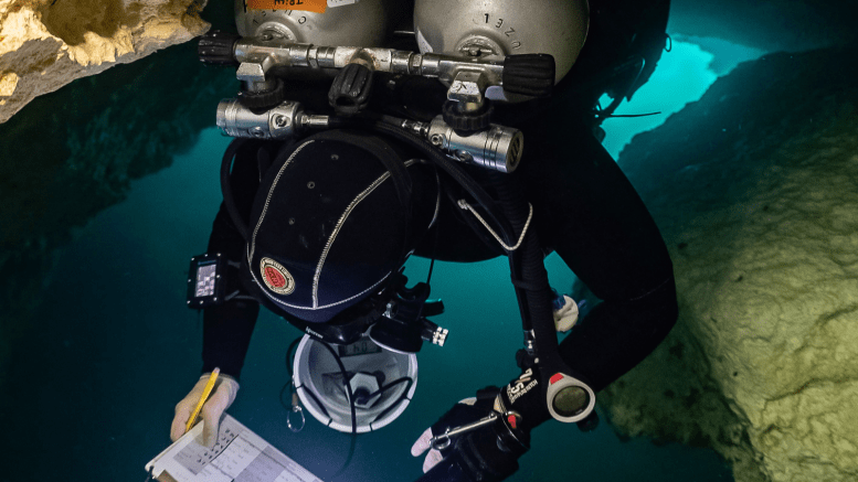 Patricia Beddows scuba diving and collecting information on a clipboard