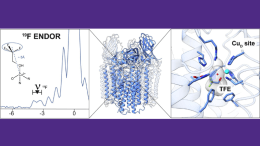 An interdisciplinary approach combining advanced spectroscopy and cryoelectron microscopy pinpoints the active site of nature’s methane oxidation catalyst.