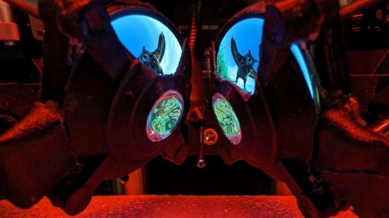 A view through the new miniaturized goggles, which can accurately simulate natural environments. Image by Dom Pinke